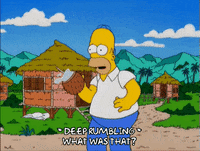 homer simpson GIF