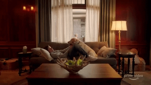 sarrrah giphygifmaker GIF