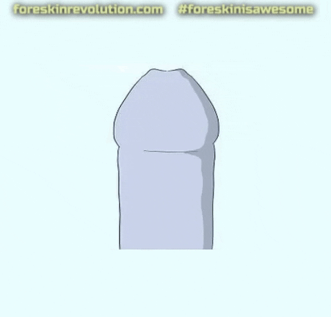 How I Roll GIF by Foreskin Revolution