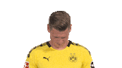 Its Me Hello Sticker by Bundesliga