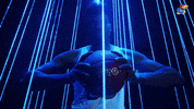 Kansas Basketball Jayhawks GIF by Kansas Athletics