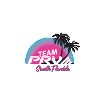 South Florida Miami Sticker by PRV Audio
