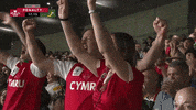 Walvrsa GIF by Rugby World Cup