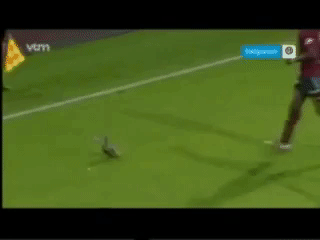 habib habibou football GIF