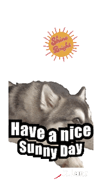 Good Morning Dogs Sticker by Global Tara Entertainment