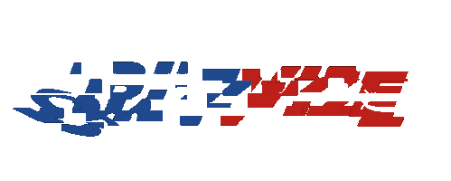 bizvize giphyupload bizz vize Sticker