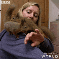 natural world friends GIF by BBC Earth