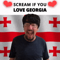 SCREAM IF YOU LOVE GEORGIA
