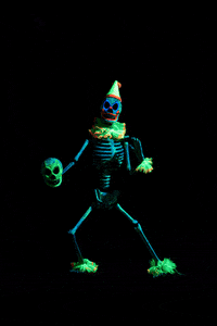 Lets Dance Dancing GIF by Linnea Bullion