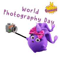 Photography Smile Sticker by Sunny Bunnies