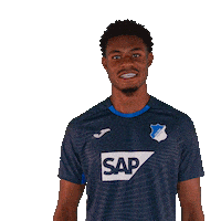 Sport Bundesliga Sticker by TSG Hoffenheim