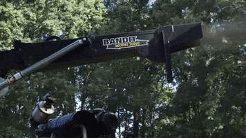 Bandit Tree Trimming GIF by JC Property Professionals