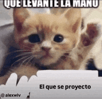Alextekah GIF