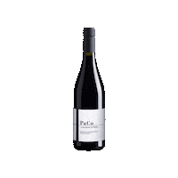 Cheers Wine Sticker by @paolocottiniwinery