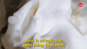 Pancake Day Breakfast GIF by BuzzFeed
