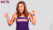 The Valley Mvc GIF by Missouri Valley Conference