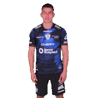 Del Valle Love Sticker by INDEPENDIENTE DEL VALLE