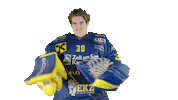 ekzellereisbaeren eishockey 30 alpshockeyleague zell am see Sticker