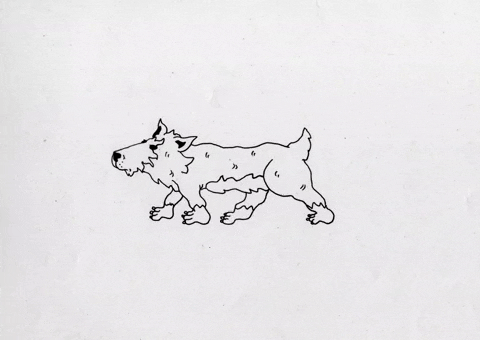 Proud Animation GIF by Anna Firth