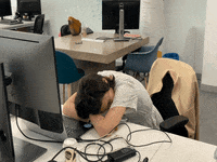 fintonic nice office fintonic GIF