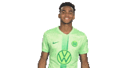 Germany Win Sticker by VfL Wolfsburg