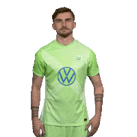 Posing Vfl Wolfsburg Sticker by Bundesliga