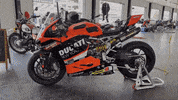 Motorcycles GIF by Gotham Ducati Desmo Owners Club