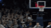 Excited March Madness GIF by Xavier Men's Basketball