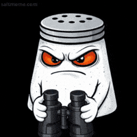 Are You Serious What Is This GIF by SALT
