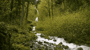 beauty love GIF by Jerology