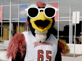GIF by Rowdy the Roadrunner