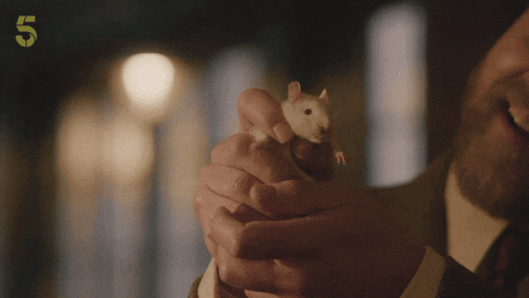 GIF by Channel5UK