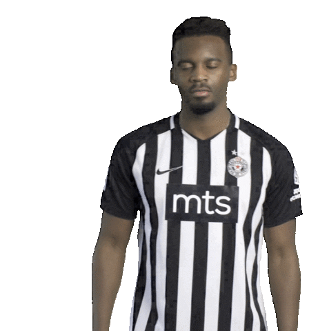 Partizan Sticker by sportmts