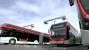 GIF by euronews