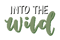 Into The Wild Summer Sticker