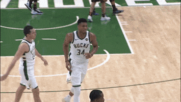 High Five Giannis Antetokounmpo GIF by NBA