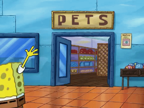 season 6 porous pockets GIF by SpongeBob SquarePants