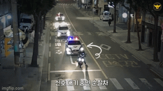 fasdfasf giphyupload GIF