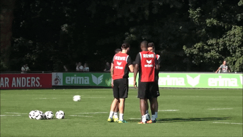 effzeh GIF by 1. FC Köln