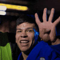 artofjiujitsu jiu jitsu 4x ibjjf art of jiu jitsu GIF