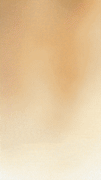 Cat Rat GIF by Youtooz