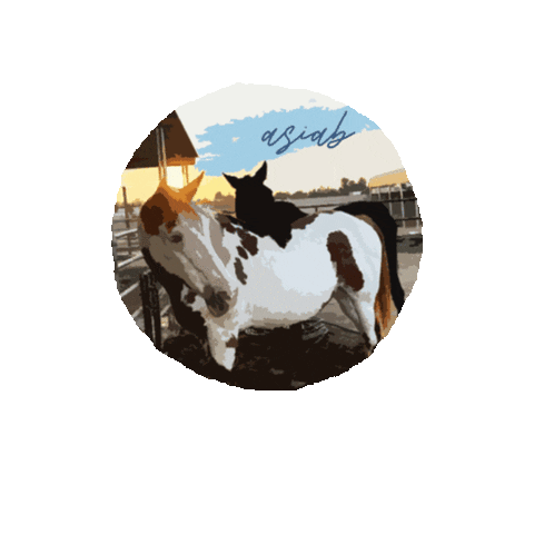Horserescue Sticker by All Seated in a Barn