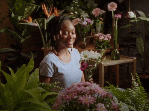 GIF by UnionDocs