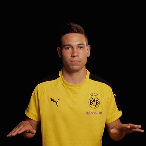 keep calm raphael guerreiro GIF by Borussia Dortmund