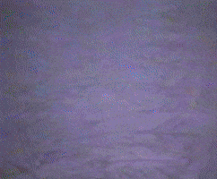 Meowwolf GIF by PIZZA PALS PLAYZONE