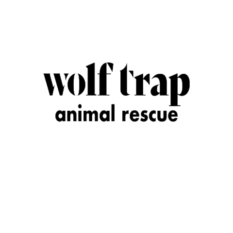 wolftrapanimalrescue giphygifmaker cats dogs pets Sticker