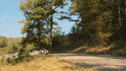 Racing Driving GIF by Nokian Tyres