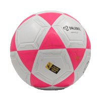 Bola Futevolei Sticker by Dalebol