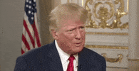 Donald Trump GIF by GIPHY News