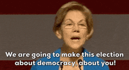 Elizabeth Warren GIF by Election 2020